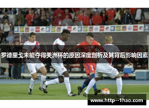 罗德里戈未能夺得美洲杯的原因深度剖析及其背后影响因素