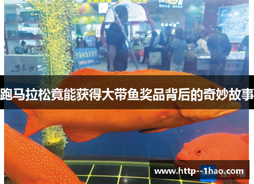 跑马拉松竟能获得大带鱼奖品背后的奇妙故事 跑马拉松竟能获得大带鱼奖品背后的奇妙故事