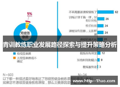 青训教练职业发展路径探索与提升策略分析