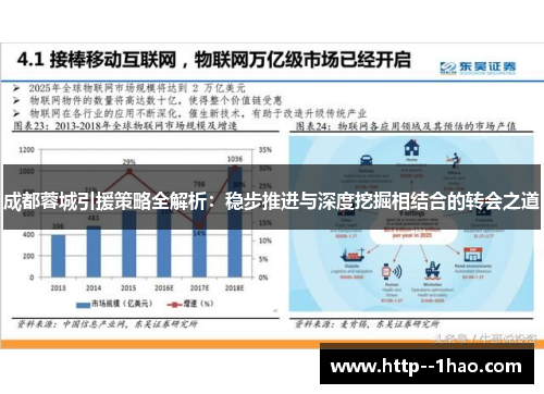 成都蓉城引援策略全解析：稳步推进与深度挖掘相结合的转会之道