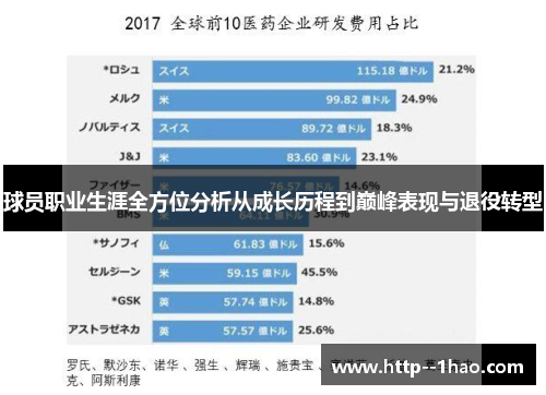 球员职业生涯全方位分析从成长历程到巅峰表现与退役转型 球员职业生涯全方位分析从成长历程到巅峰表现与退役转型