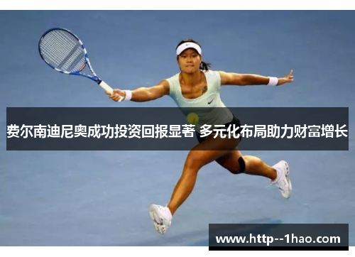 费尔南迪尼奥成功投资回报显著 多元化布局助力财富增长