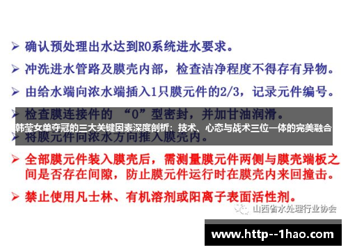 韩莹女单夺冠的三大关键因素深度剖析：技术、心态与战术三位一体的完美融合